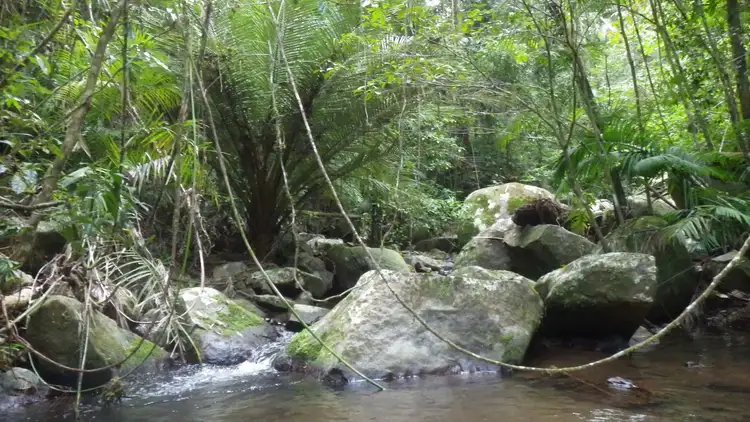 Fifth view of Homely rural property listing, Address available on request