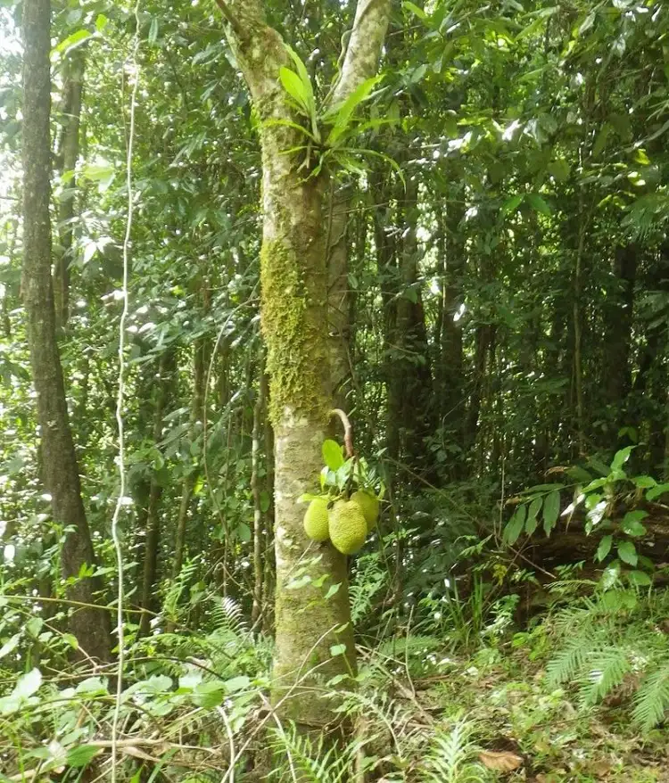 Sixth view of Homely rural property listing, Address available on request