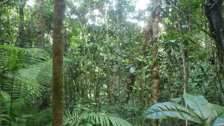 Seventh view of Homely rural property listing, Address available on request