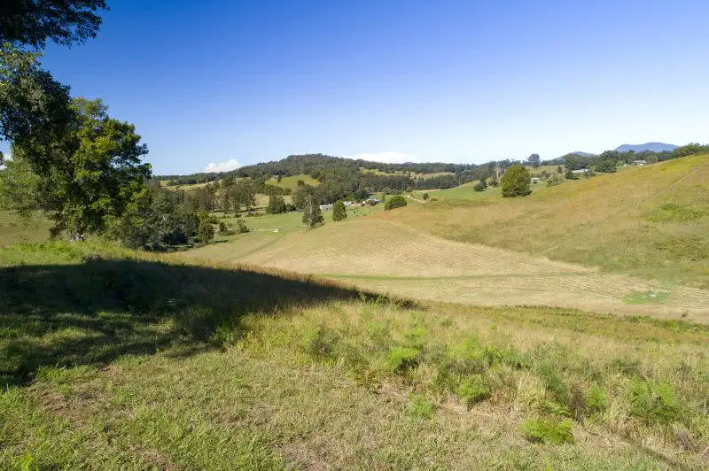 Main view of Homely land listing, 312 Dyers Loop Road, Argents Hill NSW 2449