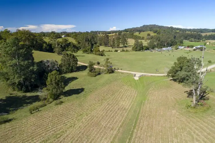 Third view of Homely land listing, 312 Dyers Loop Road, Argents Hill NSW 2449