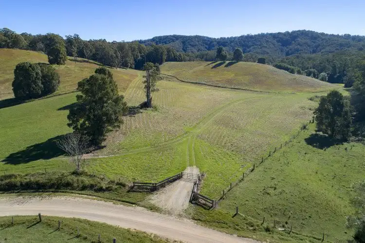 Fourth view of Homely land listing, 312 Dyers Loop Road, Argents Hill NSW 2449
