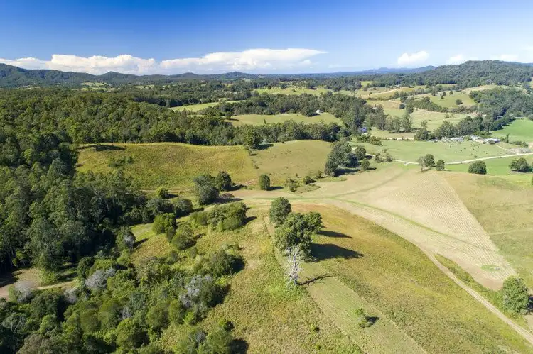 Fifth view of Homely land listing, 312 Dyers Loop Road, Argents Hill NSW 2449