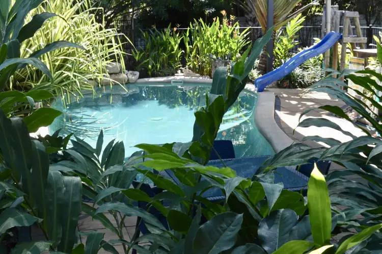 Seventh view of Homely house listing, 12 Armidale Avenue, Balgal Beach QLD 4816