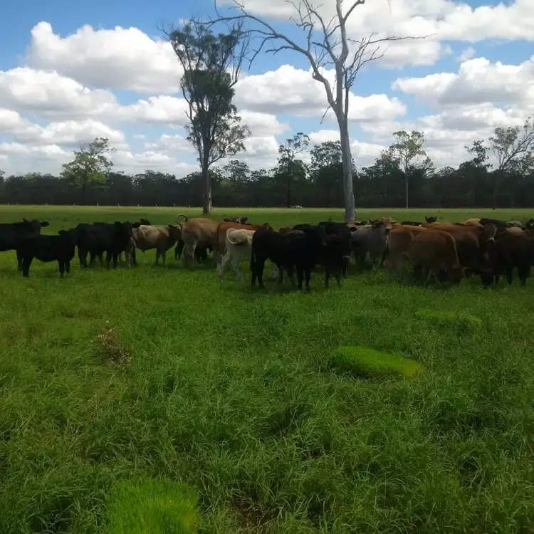 Second view of Homely land listing, 338 Toogoom Road, Beelbi Creek QLD 4659
