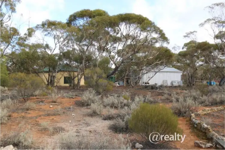 99 Hodge Road, Cadell SA 5321