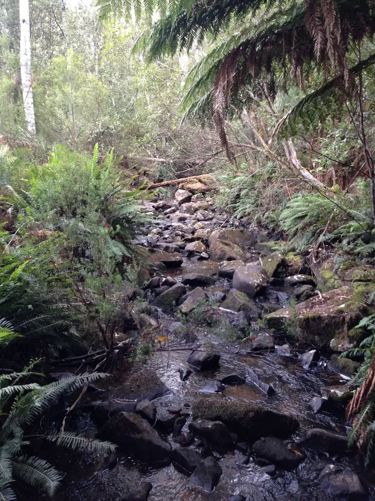 Second view of Homely land listing, LOT End of, Harwoods Road, Castle Forbes Bay TAS 7116