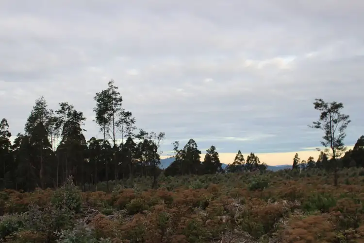 Third view of Homely land listing, LOT End of, Harwoods Road, Castle Forbes Bay TAS 7116