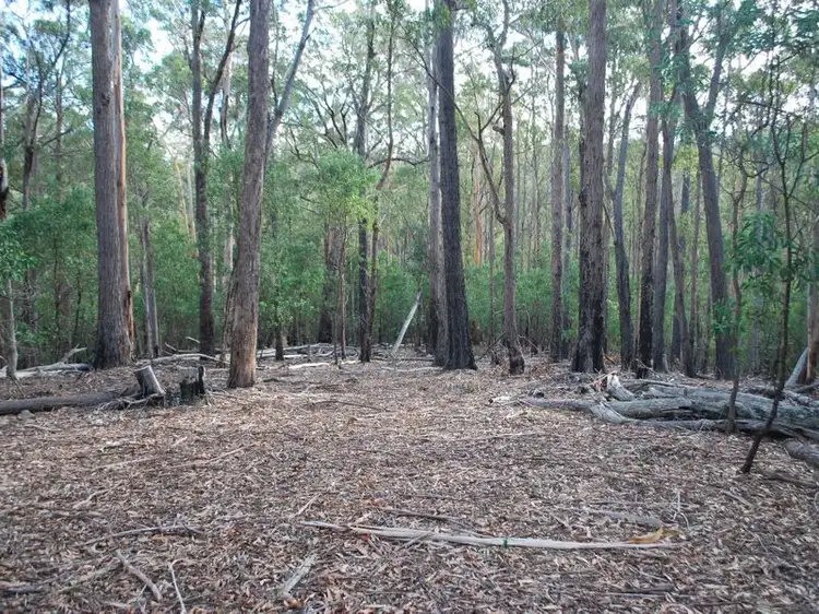 Main view of Homely land listing, Lot 43 Red Gum Road, Yellow Pinch NSW 2548