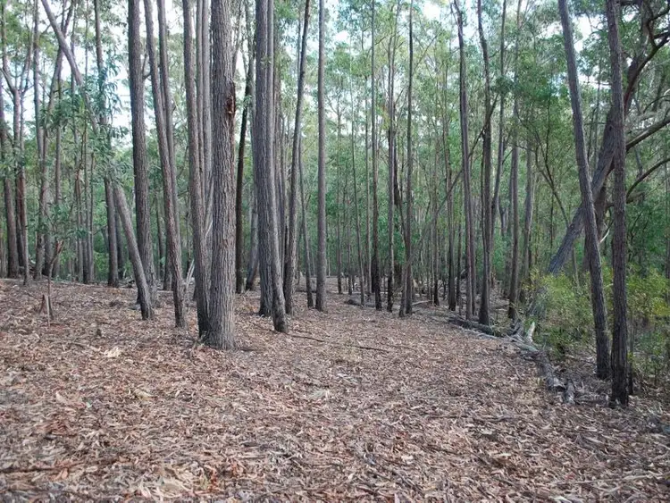 Fifth view of Homely land listing, Lot 43 Red Gum Road, Yellow Pinch NSW 2548