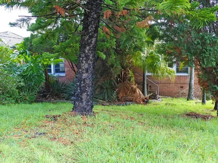 Main view of Homely house listing, 10 Light Street, Bar Beach NSW 2300