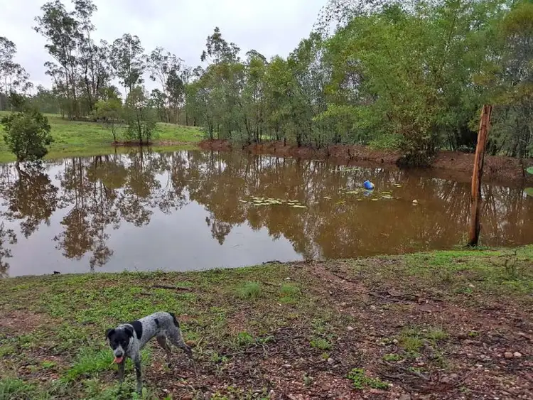 Fifth view of Homely rural property listing, Lot 103 Thinoomba Road, St Mary QLD 4650