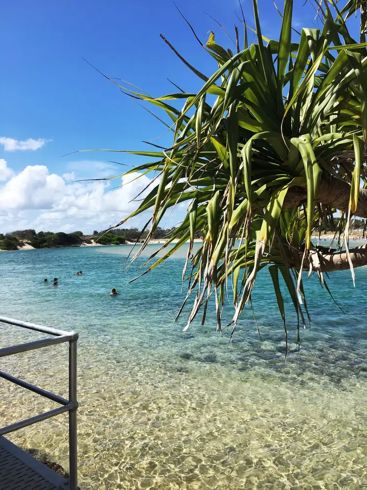 4/5 Peninsula St, Hastings Point NSW 2489