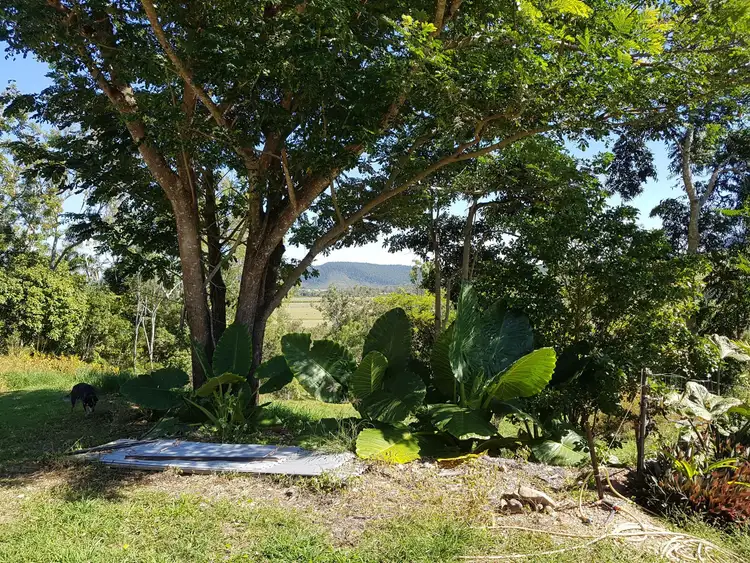 Sixth view of Homely land listing, Lot 2, 122 Patullo Road, Gregory River QLD 4800