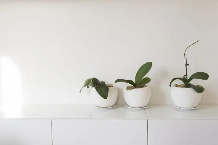 Fifth view of Homely unit listing, 7/6 Lambert Road, Toorak VIC 3142