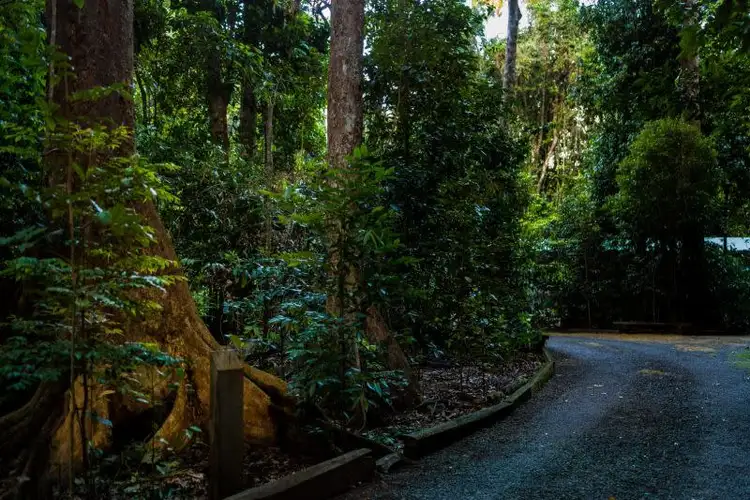 Seventh view of Homely rural property listing, 171 Figtree Close, Malanda QLD 4885