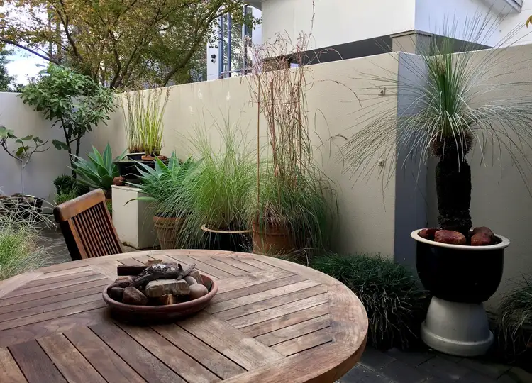 Second view of Homely apartment listing, 24/110 Wellington Street, Waterloo NSW 2017