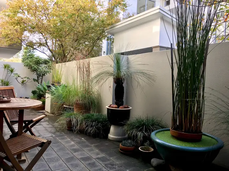 Third view of Homely apartment listing, 24/110 Wellington Street, Waterloo NSW 2017