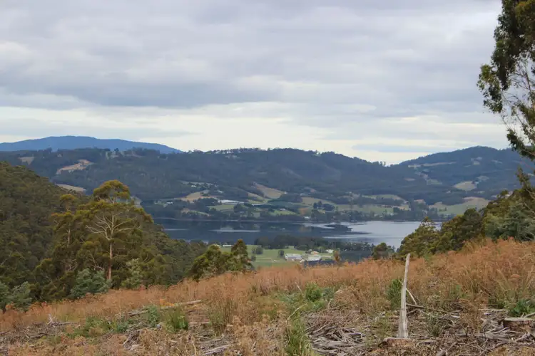Main view of Homely land listing, 60 Acres Harwoods Road, Castle Forbes Bay TAS 7116