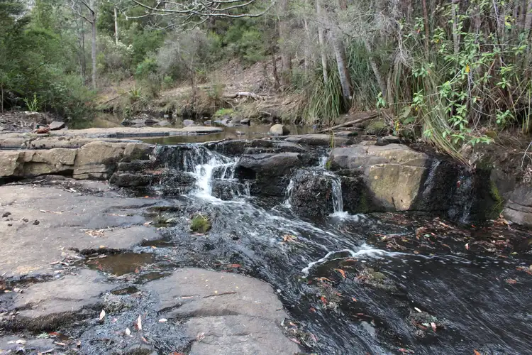 Second view of Homely land listing, 60 Acres Harwoods Road, Castle Forbes Bay TAS 7116