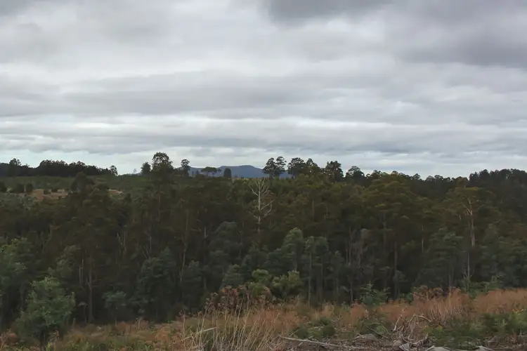 Third view of Homely land listing, 60 Acres Harwoods Road, Castle Forbes Bay TAS 7116