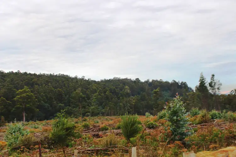 Fourth view of Homely land listing, 60 Acres Harwoods Road, Castle Forbes Bay TAS 7116