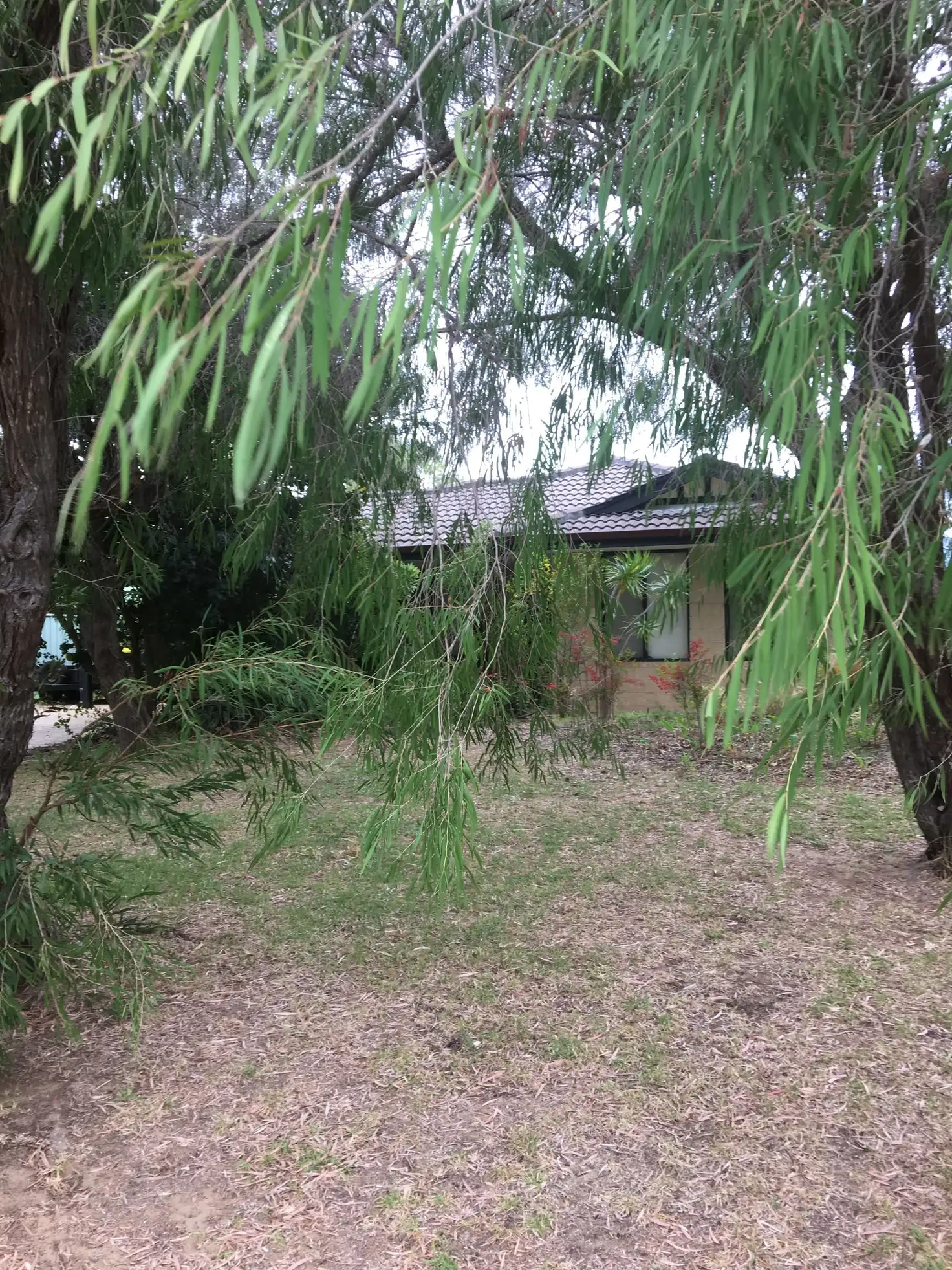 Main view of Homely house listing, 50 Brookland Loop, Dunsborough WA 6281