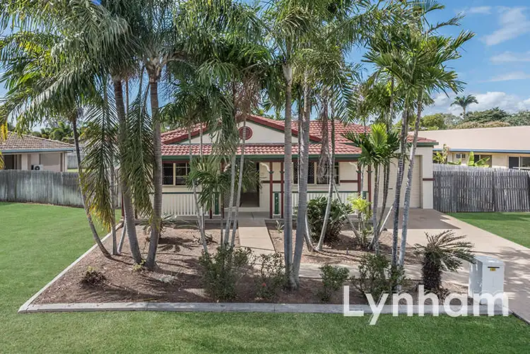 17 Alloway Court, Annandale QLD 4814