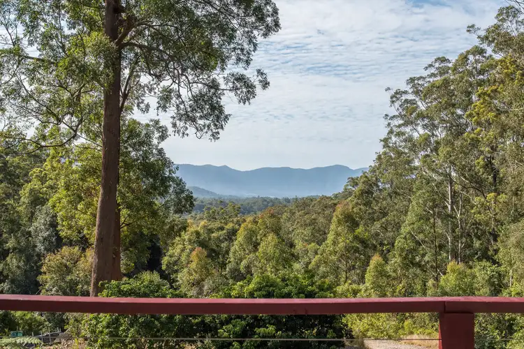 Second view of Homely rural property listing, 315 Boggy Creek Road, Bellingen NSW 2454
