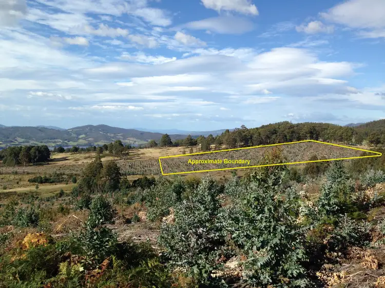 24.4 Acres Harwoods Road, Castle Forbes Bay TAS 7116
