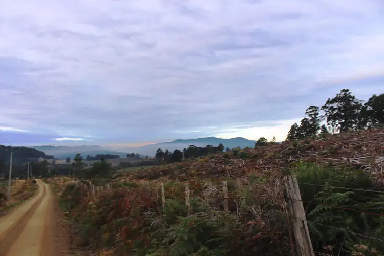 Second view of Homely land listing, 24.4 Acres Harwoods Road, Castle Forbes Bay TAS 7116