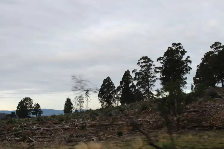 Third view of Homely land listing, 24.4 Acres Harwoods Road, Castle Forbes Bay TAS 7116