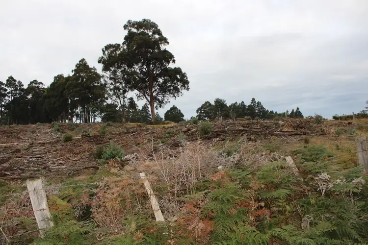 Fourth view of Homely land listing, 24.4 Acres Harwoods Road, Castle Forbes Bay TAS 7116