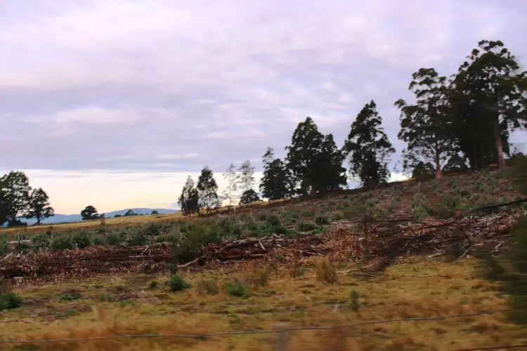 Fifth view of Homely land listing, 24.4 Acres Harwoods Road, Castle Forbes Bay TAS 7116