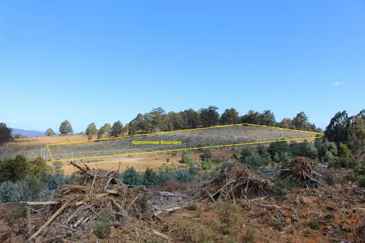 Sixth view of Homely land listing, 24.4 Acres Harwoods Road, Castle Forbes Bay TAS 7116