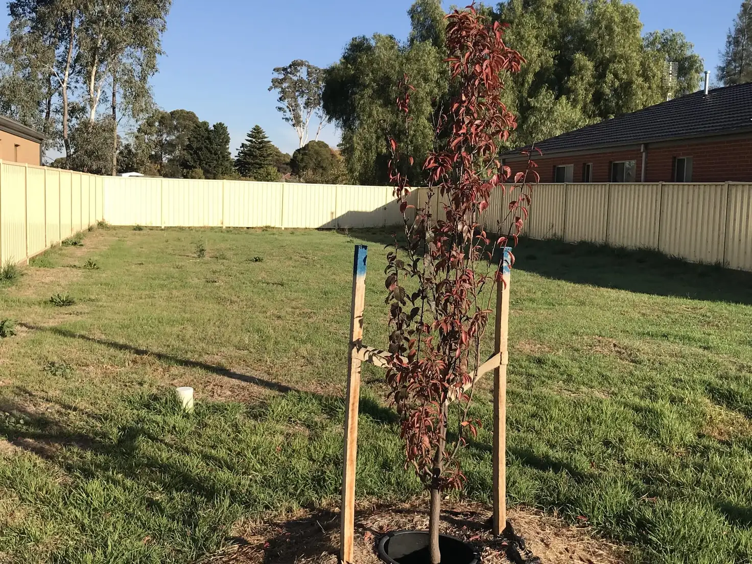 Main view of Homely land listing, 28 Forbes Court, North Bendigo VIC 3550
