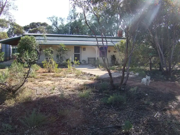 14 Mill Road, Loxton SA 5333