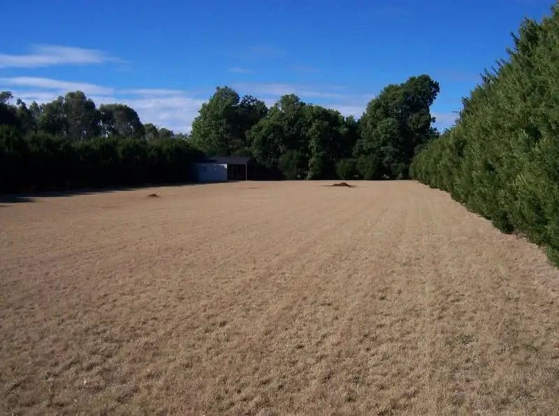 Main view of Homely land listing, 20-22 Earl Street, Memerambi QLD 4610