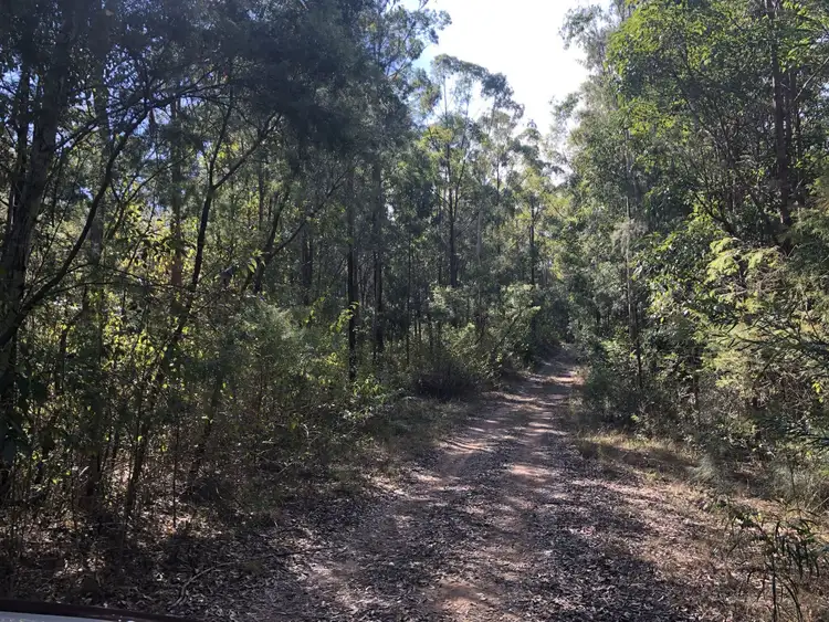 Seventh view of Homely rural property listing, 796 Glens Creek Road, Nymboida NSW 2460