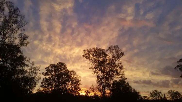 Sixth view of Homely rural property listing, 73 Palm Drive, The Palms QLD 4570