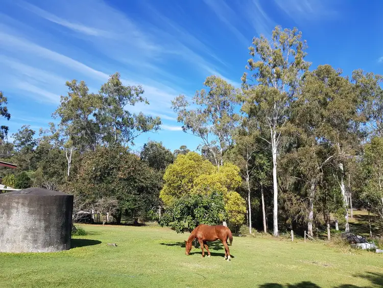 Seventh view of Homely rural property listing, 73 Palm Drive, The Palms QLD 4570