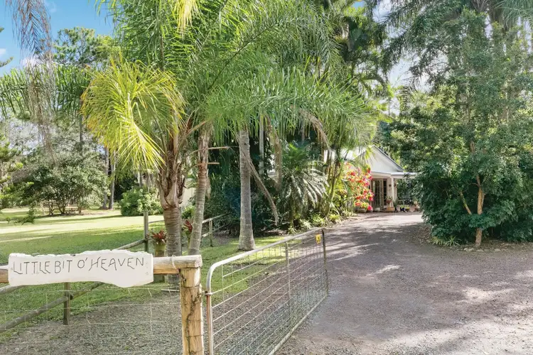 Main view of Homely house listing, 10 Wattlebird Drive, Doonan QLD 4562