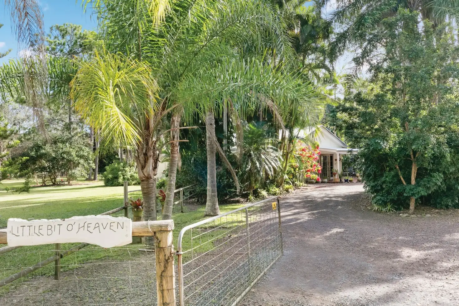 Main view of Homely house listing, 10 Wattlebird Drive, Doonan QLD 4562