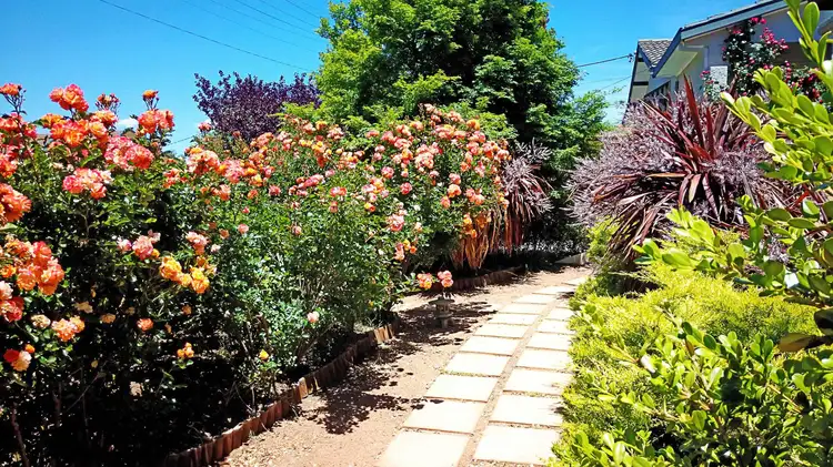 Third view of Homely house listing, 3 Oleria Street, Queanbeyan NSW 2620