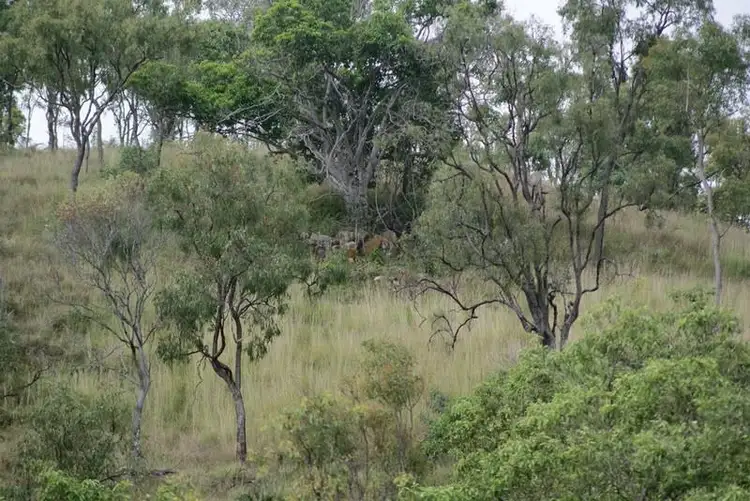 Third view of Homely land listing, 3715 Tableland Road, Diglum QLD 4680