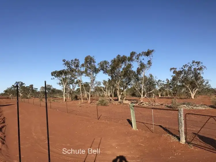 Third view of Homely rural property listing, . Deiran, Cunnamulla QLD 4490