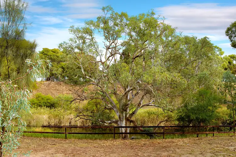 Second view of Homely rural property listing, 169 Lines Road, Willyaroo, Strathalbyn SA 5255