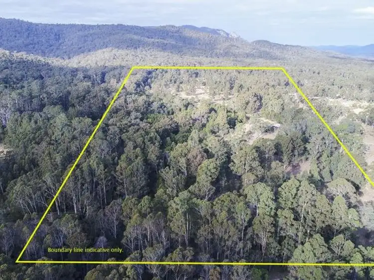 Third view of Homely rural property listing, 2075 Mt Darragh Road, Wyndham NSW 2550