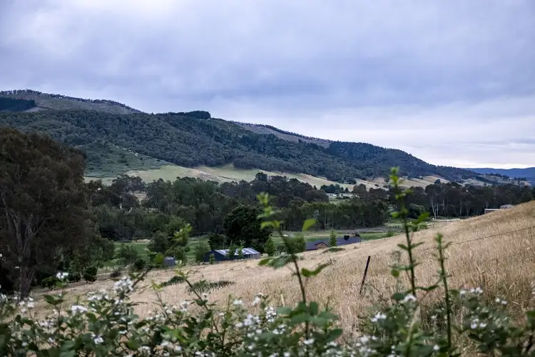 661 Buffalo River Road, Buffalo River VIC 3737