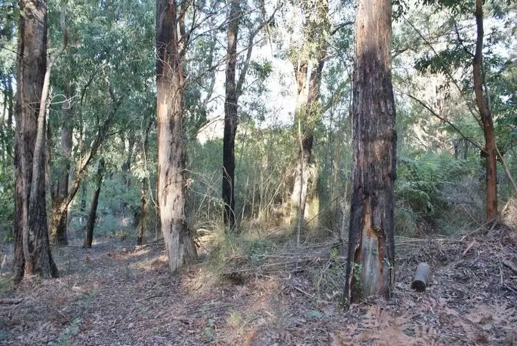 Second view of Homely land listing, Crown Allotment G Maidentown Track, Walhalla VIC 3825